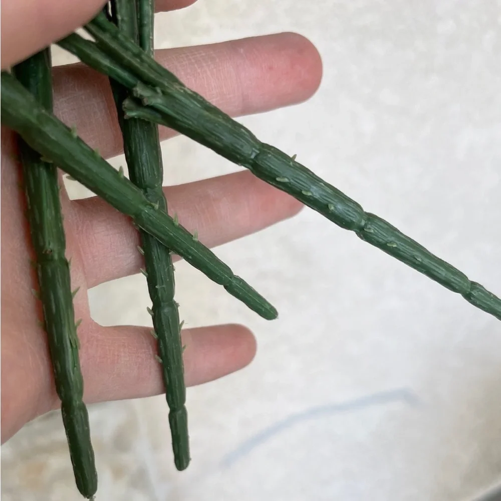 White flower stems